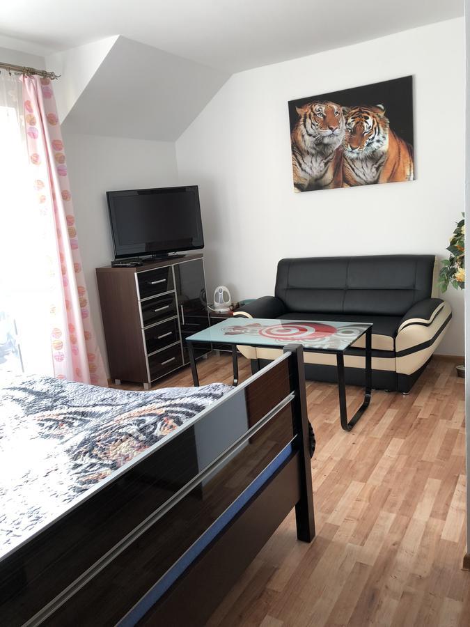 Agata Apartment Висла Екстериор снимка