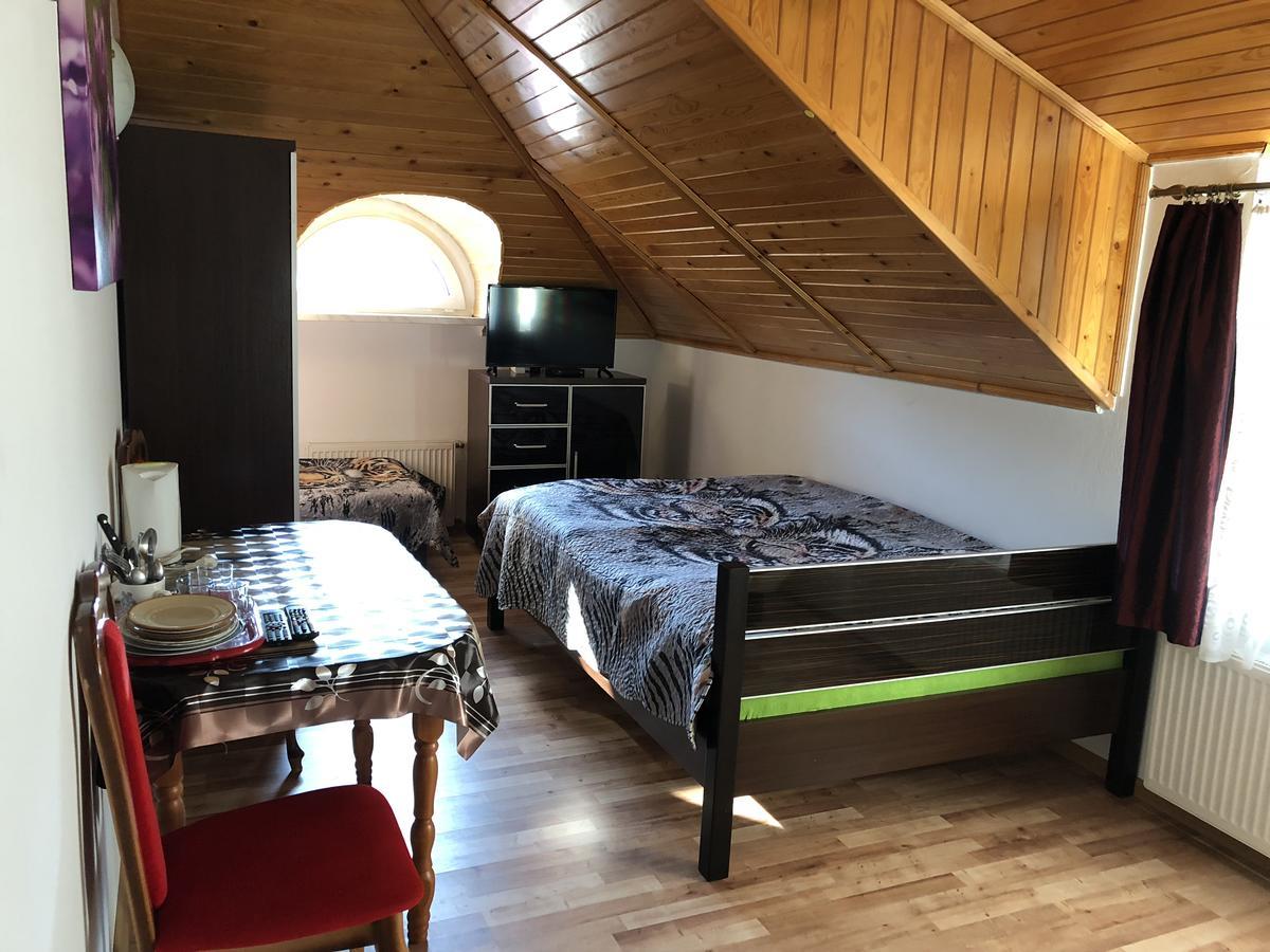 Agata Apartment Висла Екстериор снимка