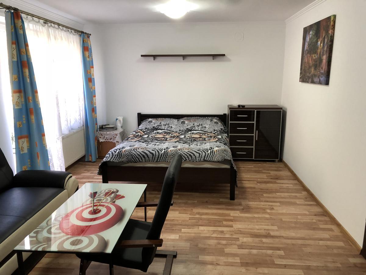 Agata Apartment Висла Екстериор снимка